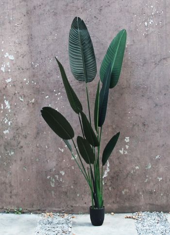 Palm Tree 1,60 cm