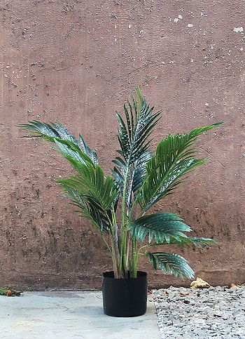 Hawaian Palm 72 cm