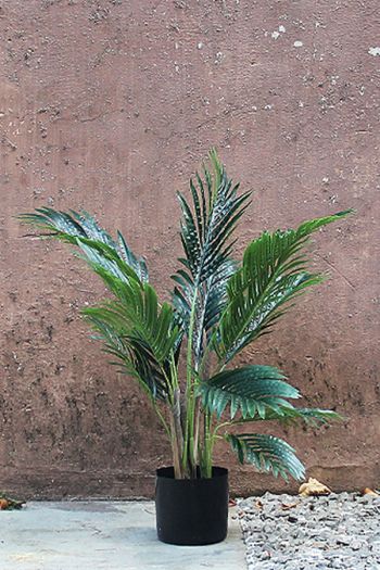 Hawaian Palm 72 cm