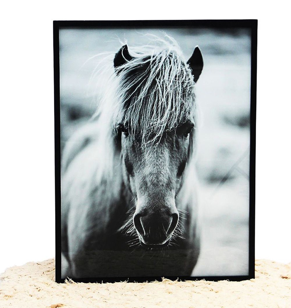 Cuadro Black Horse 60x80 cm