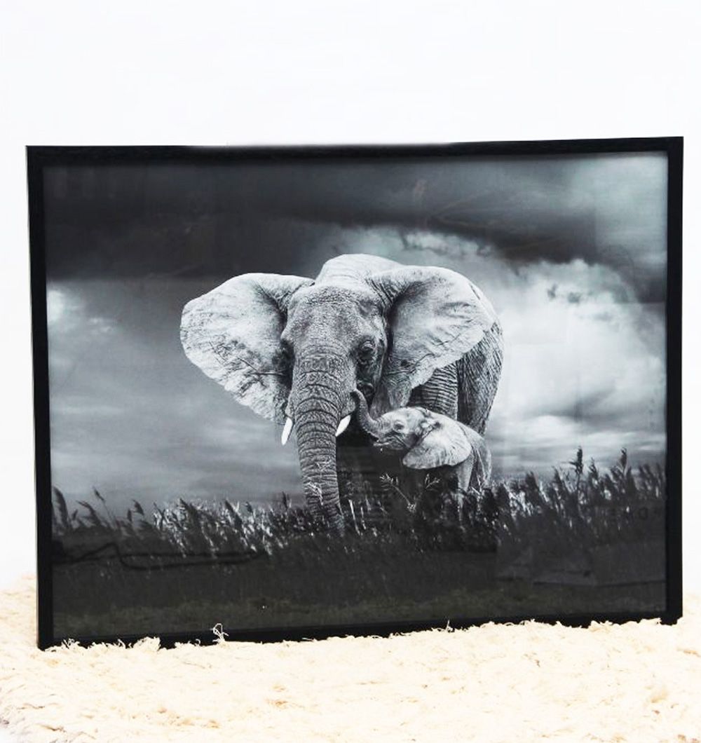 Cuadro Mother & Son Elephants 60x80 cm