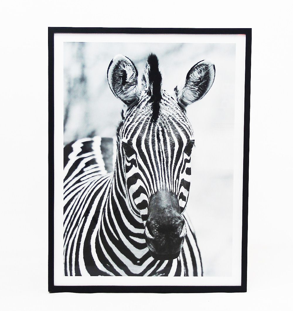 Cuadro Black Zebra 60x80 cm
